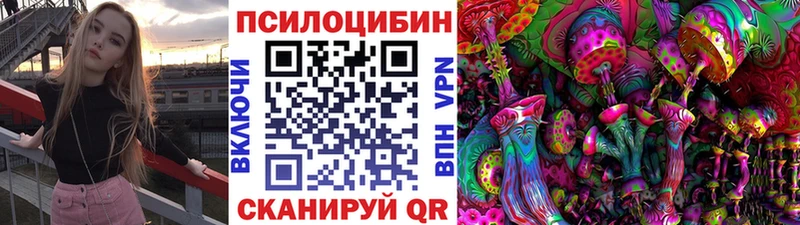 маркетплейс какой сайт  где найти   Ак-Довурак  Псилоцибиновые грибы Psilocybine cubensis 